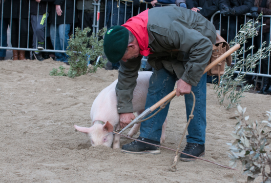 La Journée de la Truffe 2018